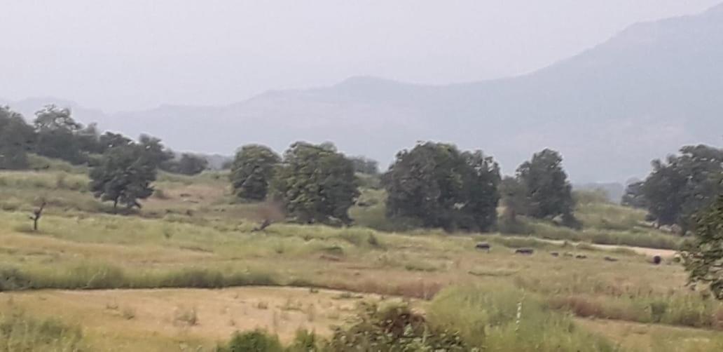 Karjat Mountain Villa Eksteriør bilde