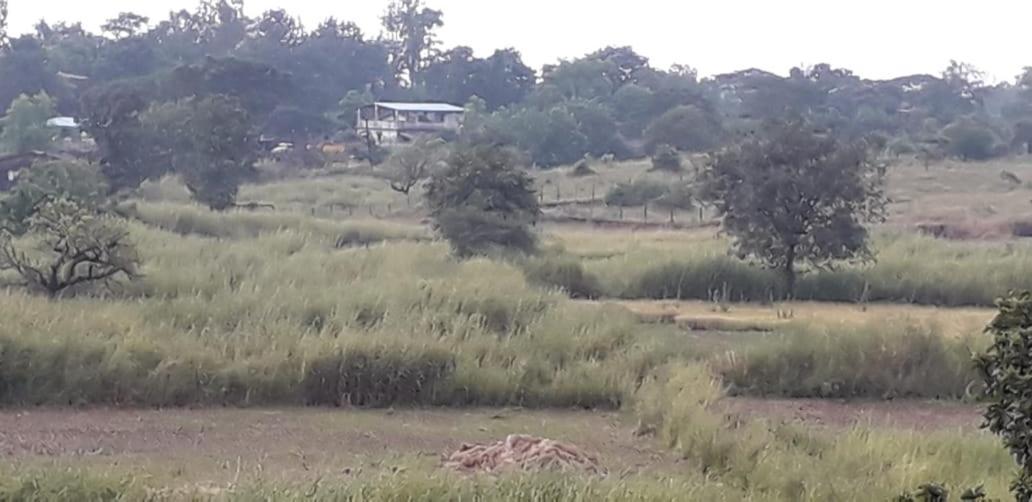 Karjat Mountain Villa Eksteriør bilde